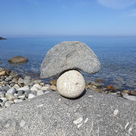 L' Elicriso Марчана