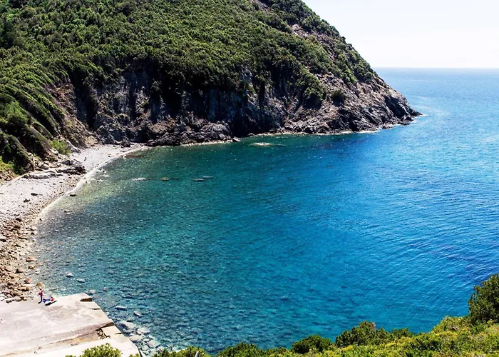 L' Elicriso مارشيانا