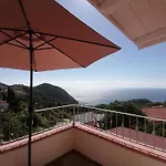 L' Elicriso *