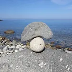 L' Elicriso Marciana (Isola d'Elba)