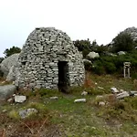 L' Elicriso Marciana (Isola d'Elba)
