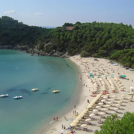 L' Elicriso Marciana (Isola d'Elba)