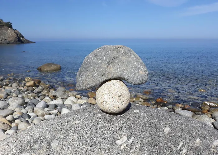 L' Elicriso Marciana (Isola d'Elba)
