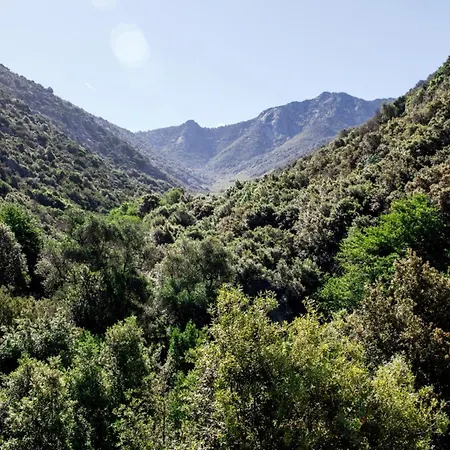 Nyaraló L' Elicriso